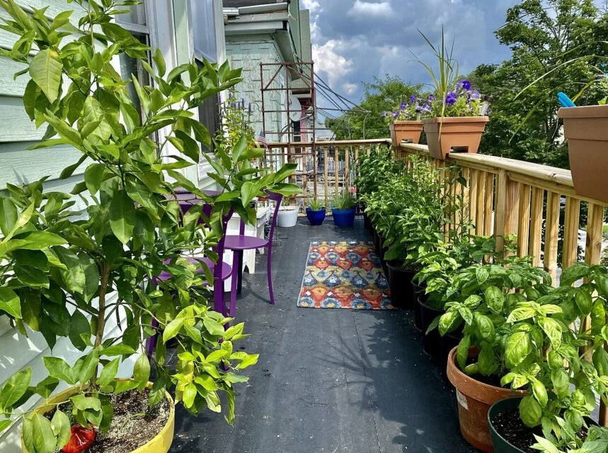Small space balcony container garden