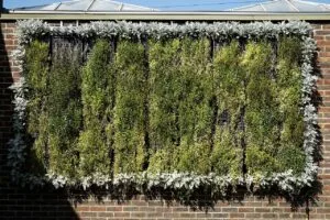 7 Vertical Gardening Ideas to Grow More in Less Space