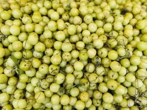 How to Grow Amla
