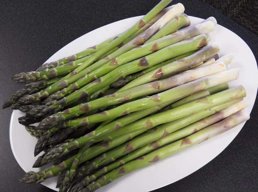 How to Grow Asparagus (A Perennial Harvest for Decades)