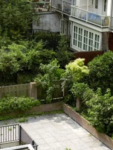 Backyard Garden Design Ideas for Beginners