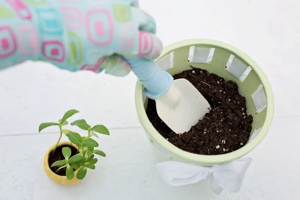 Beginners — Gardening Guider