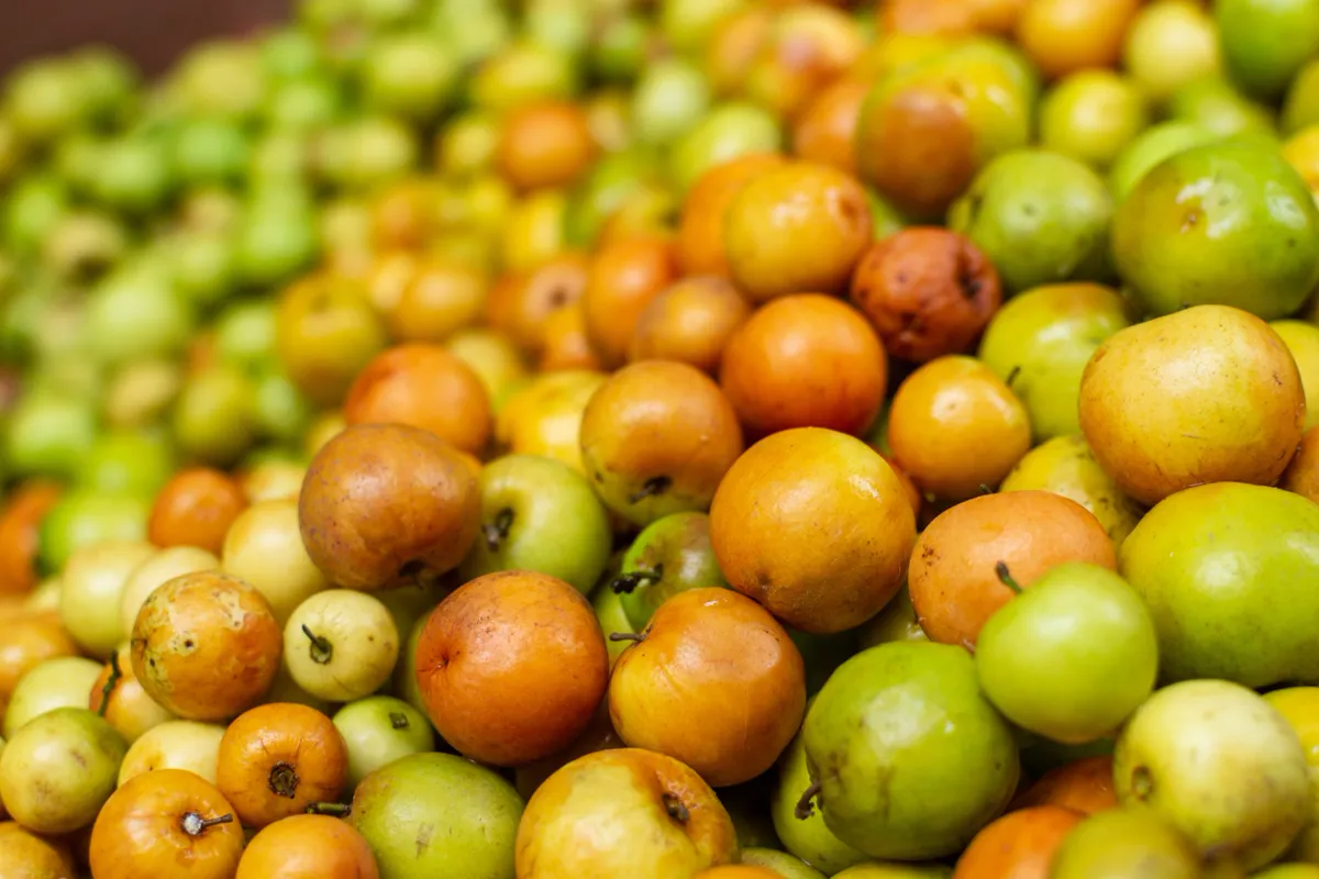 Ber — fresh jujubes and mangoes at a local market in Dhaka, Bangladesh.