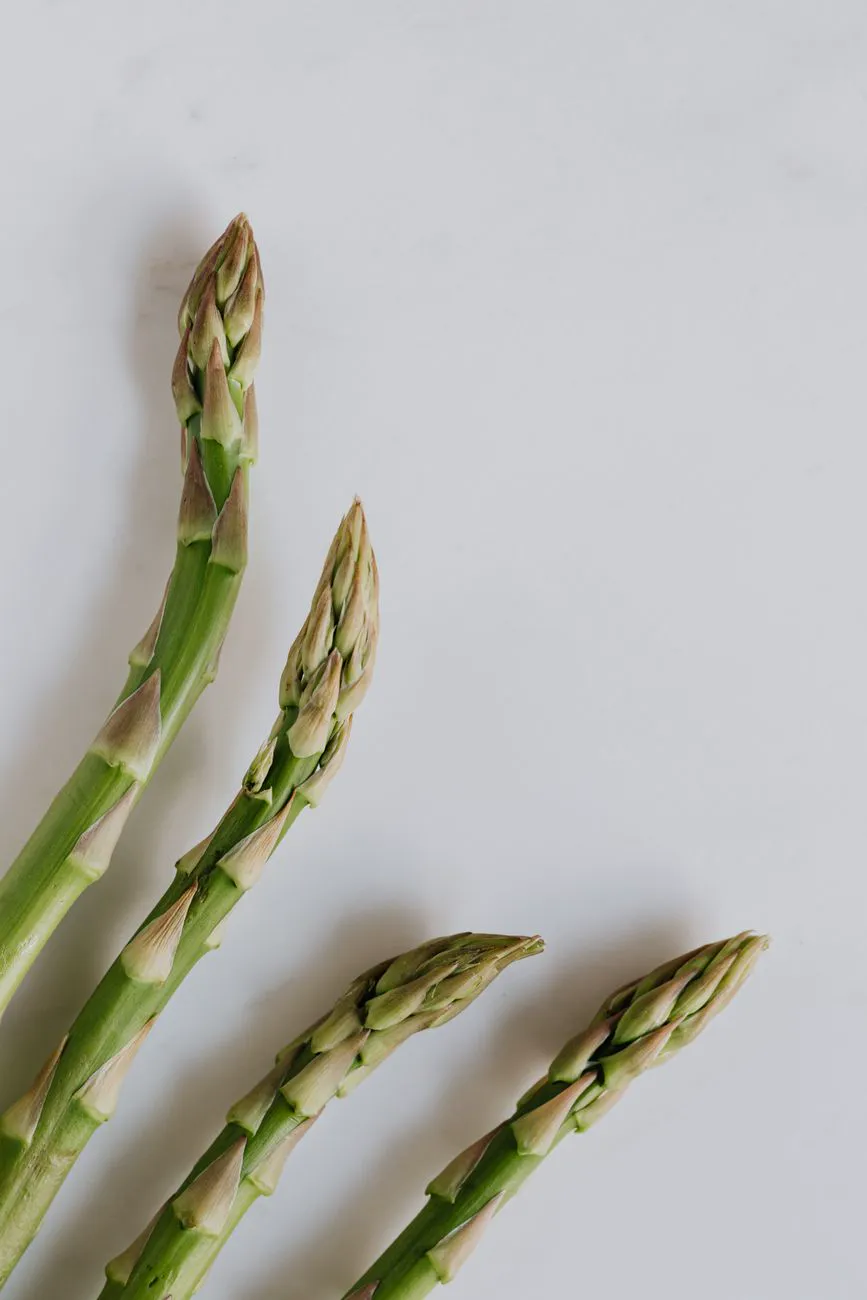 Four green asparagus spears seen from above