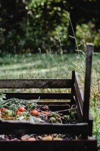 Best Compost Bins