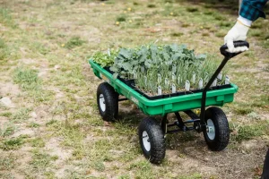 Best Garden Carts