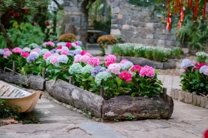 Best Garden Edging