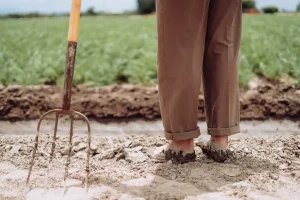 Best Garden Fork