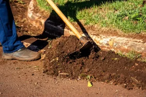 Best Garden Hoes