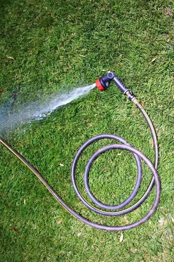 Coiled garden hose with multi-pattern nozzle, the best garden hose setup for everyday watering, spraying on a lawn