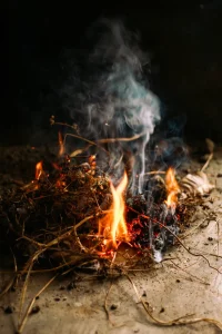 Best Garden Incinerators