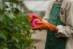 Best Garden Pest Spray