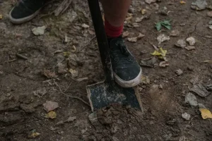 Best Garden Shovels