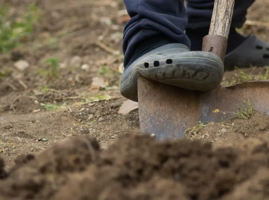 Best garden spade — boot pressing a rusty digging spade into freshly turned garden soil