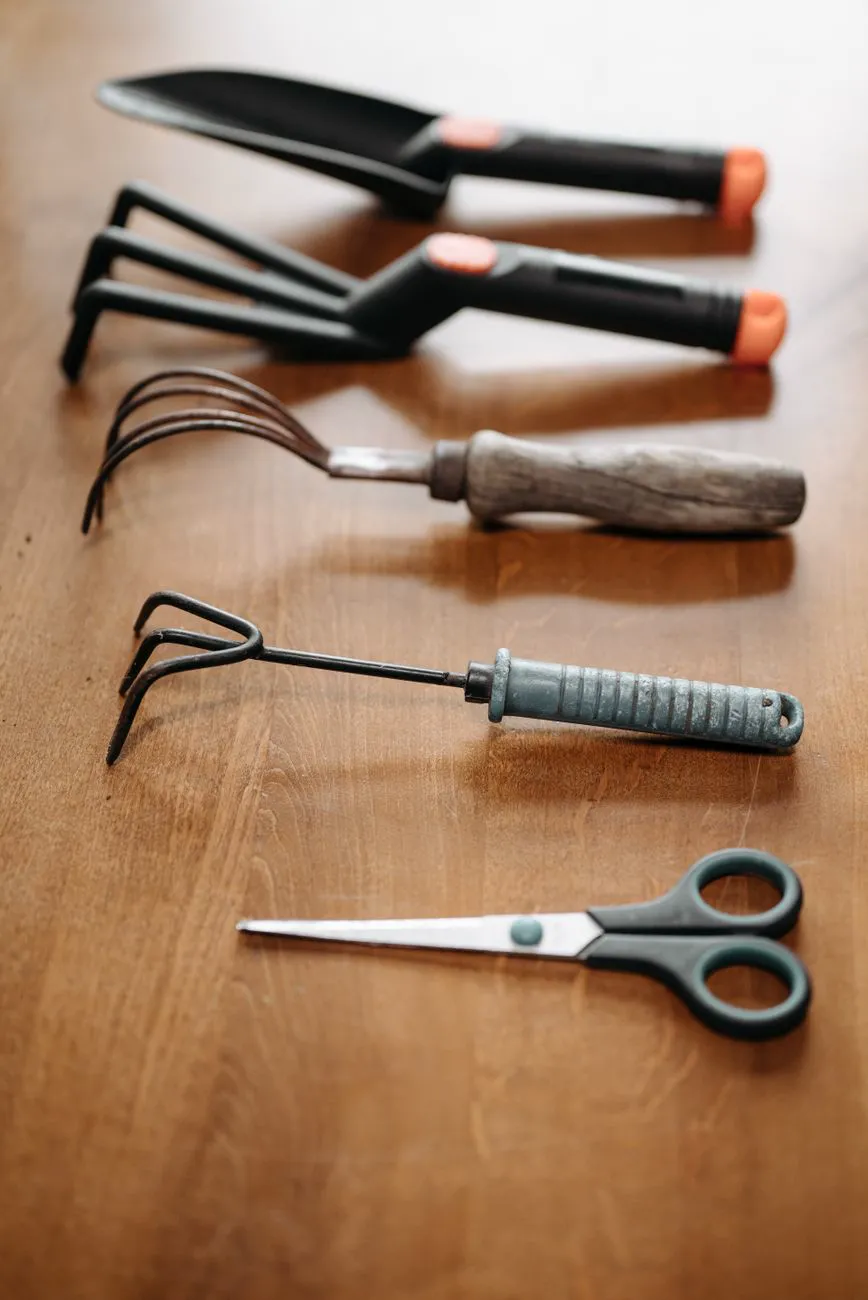 Garden hand tools arranged in a row on a wooden bench