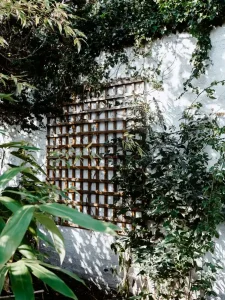 Best Garden Trellis