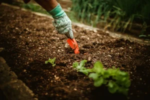 Best Garden Trowel