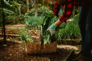 Best Garden Trugs