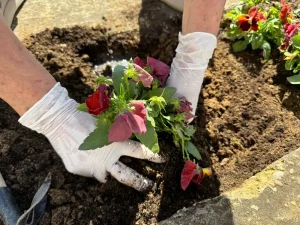 Best Gardening Gloves