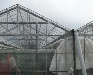 Best Greenhouse Heater