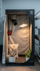 Best Grow Tents