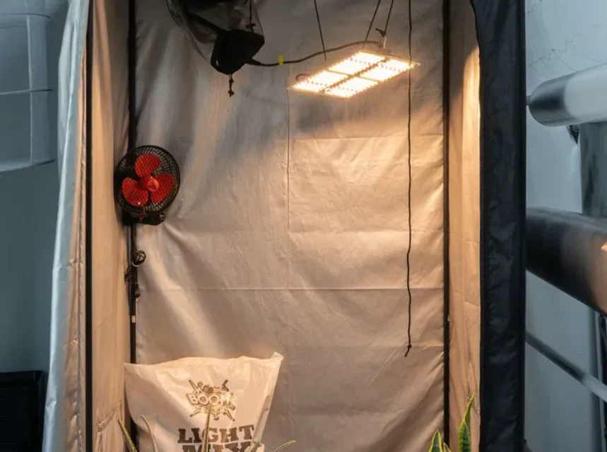 Best grow tent — open fabric grow tent with a hanging LED panel, clip fan and ducting beside two potted plants