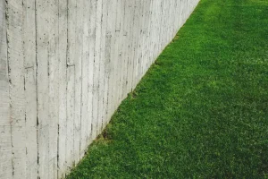 Best Lawn Fertiliser