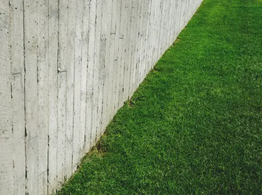 Sharp edge of a lush green lawn meeting a weathered concrete fence in bright sun
