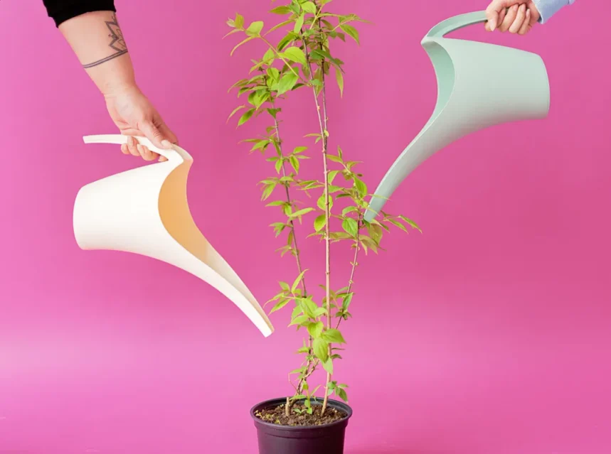 Best liquid fertiliser — two hands tipping pastel watering cans over a potted young plant against a hot pink backdrop