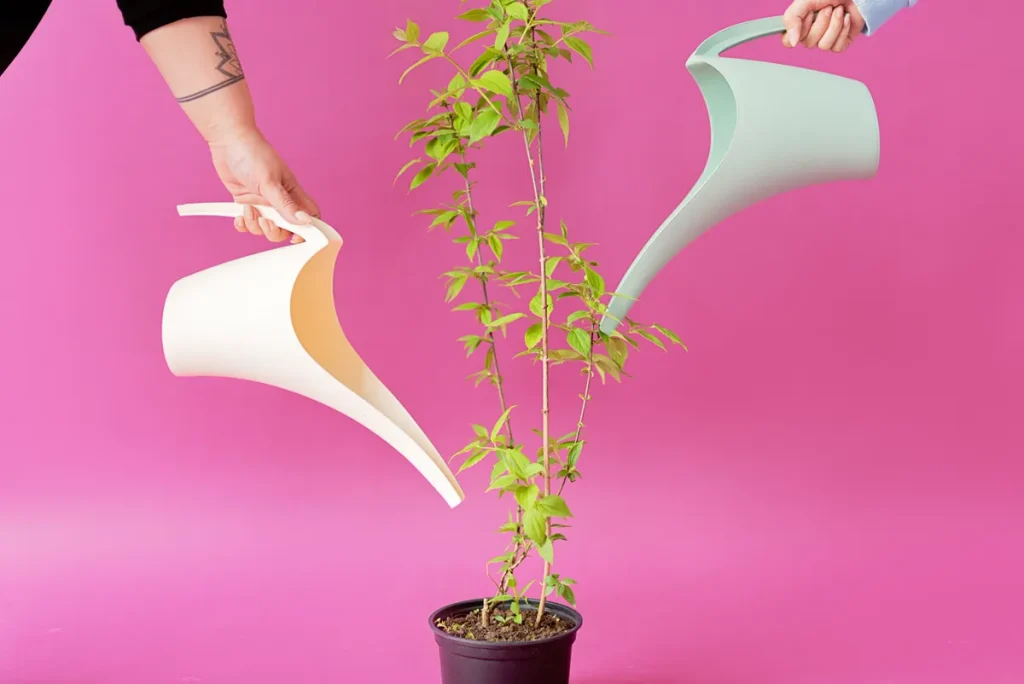 Fertiliser — Gardening Guider