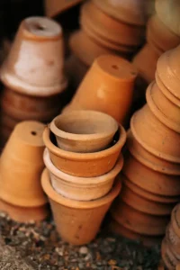 Best Plant Pots