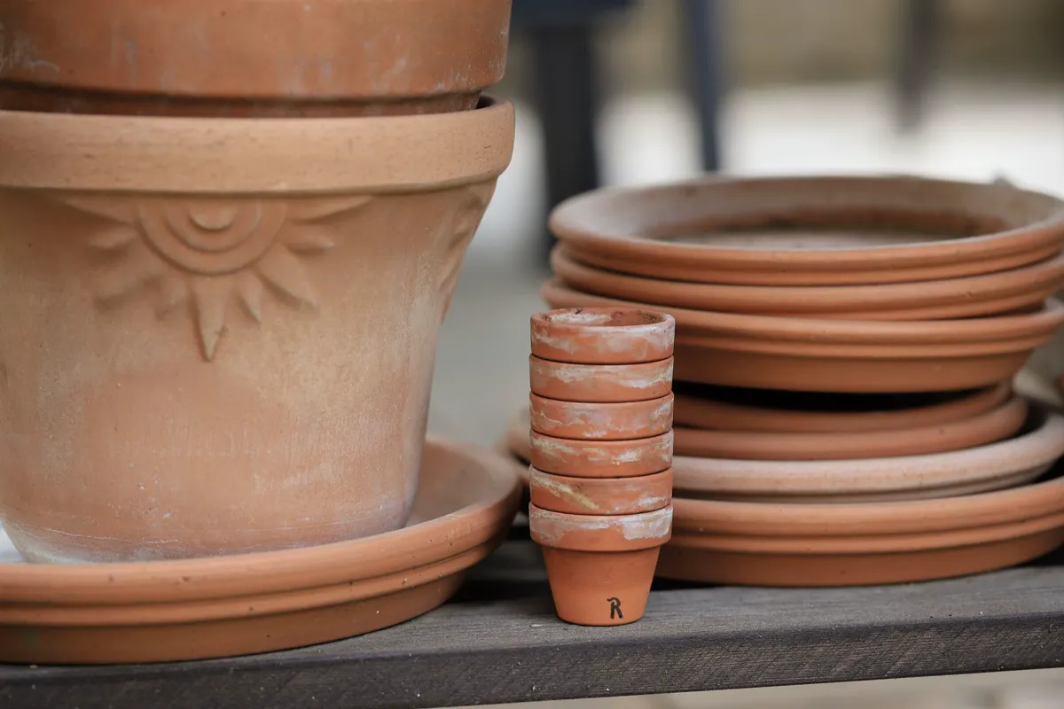 Decorative terracotta plant pots with matching saucers