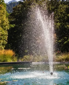 Best Pond Pump