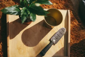 Best Potting Trowels