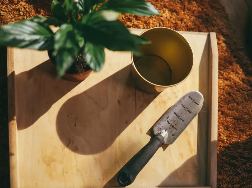 Best potting trowel — metal hand trowel and a brass pot on a plywood tray beside a peace lily in sunlight