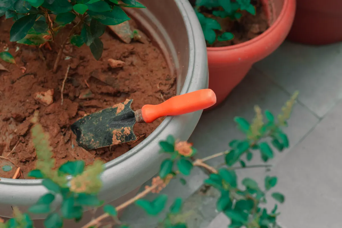 Orange-handled trowel digging into pot soil