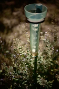 Best Rain Gauges