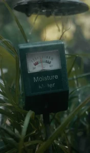 Best Soil Moisture Meters