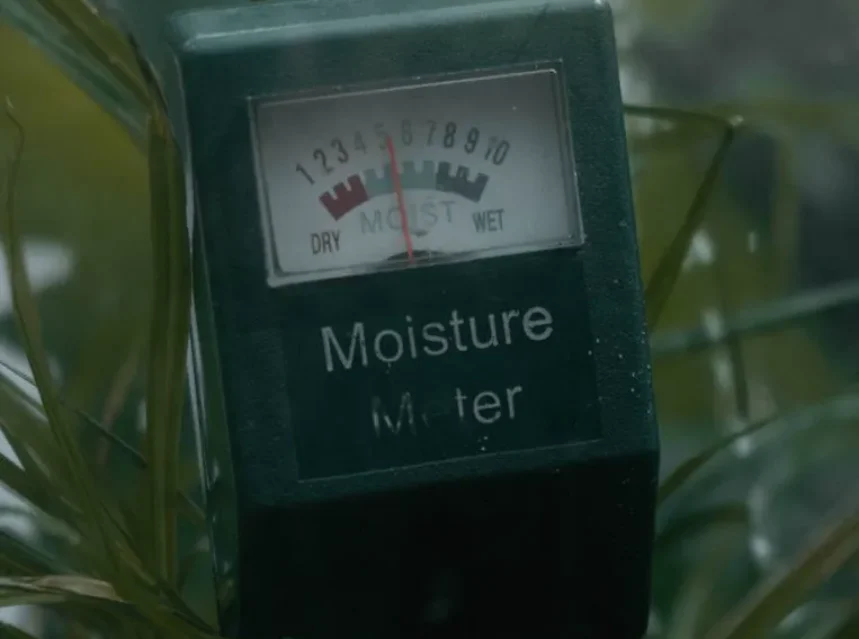 Best soil moisture meter — green analogue moisture meter with a dry to wet dial pushed into a pot of grassy foliage