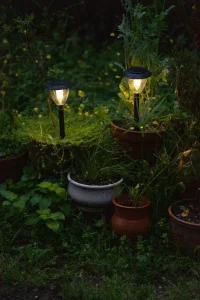Best Solar Garden Lights