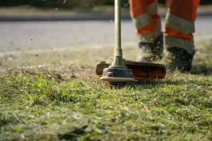 Best String Trimmers