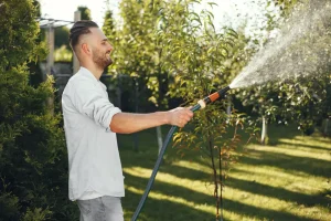 Best Watering Lances