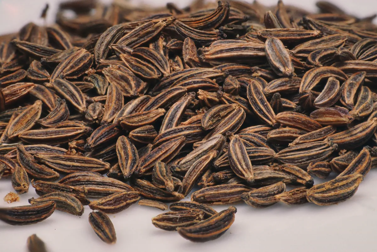 Detailed close-up of aromatic caraway seeds.