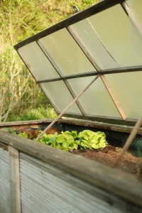 Cold Frames and Cloches