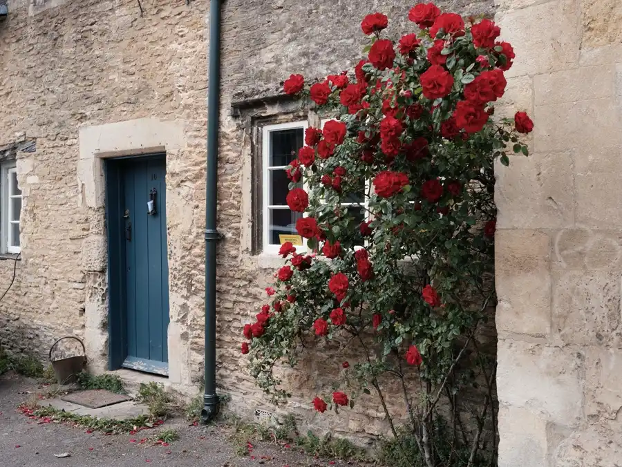 Cottage Garden — Gardening Guider