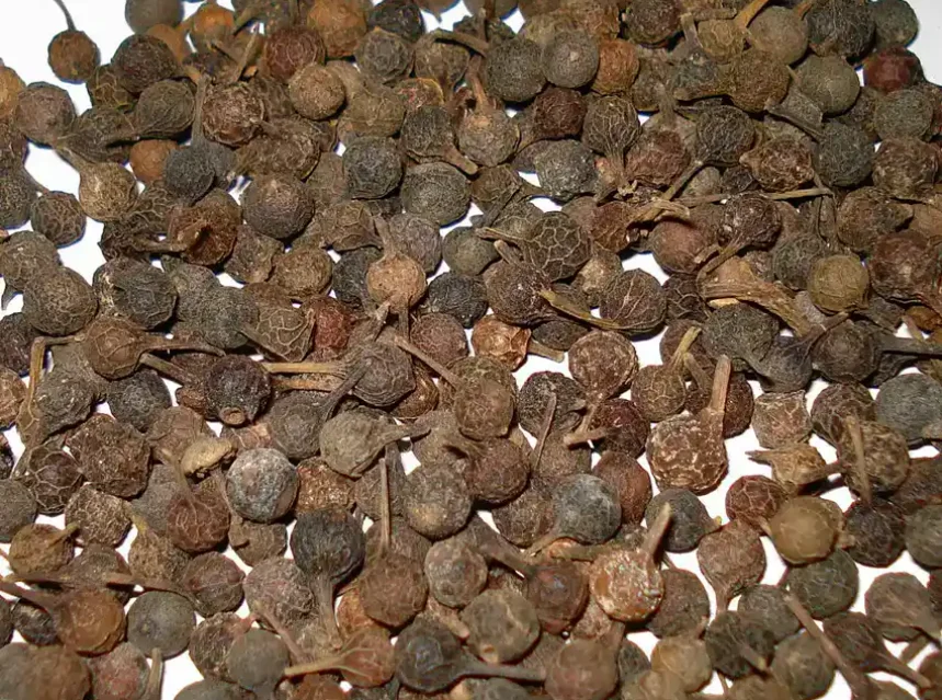 Heap of dried cubeb pepper berries, each wrinkled brown ball still carrying its short stalk
