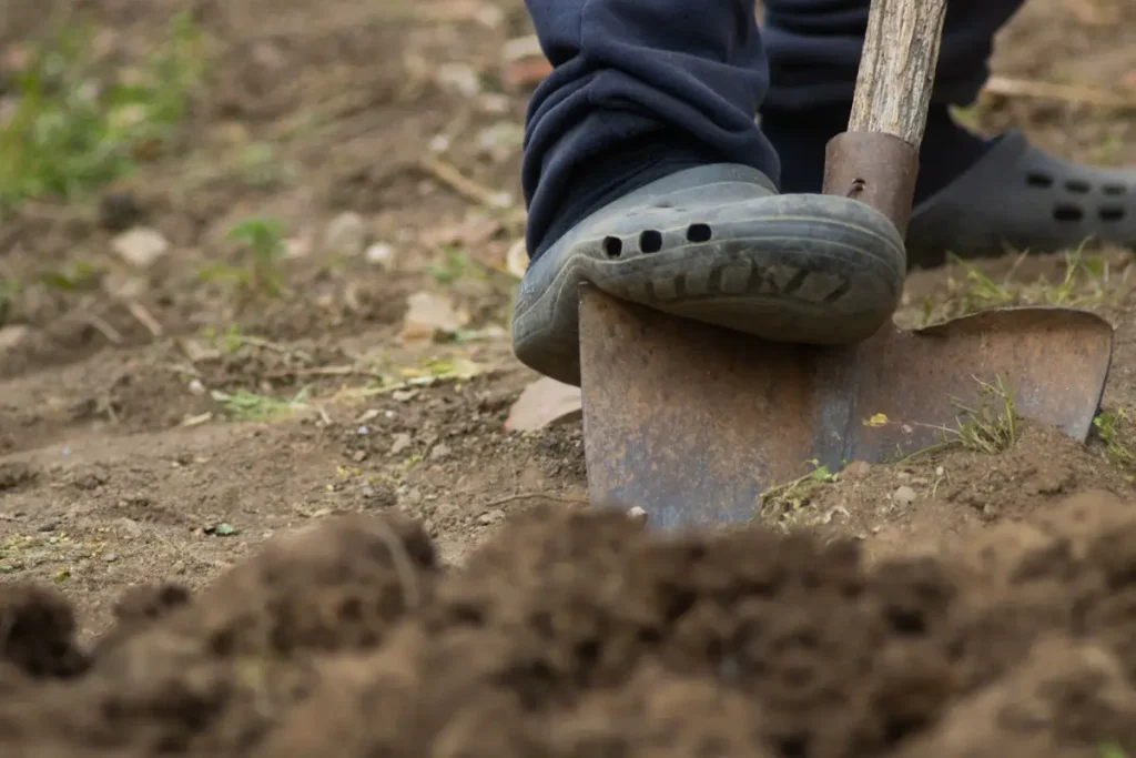 Digging Tools — Gardening Guider