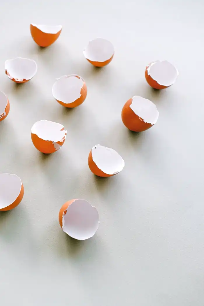 Empty eggshells collected for crushing into compost.