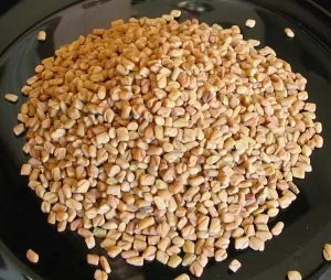 How to Grow Fenugreek