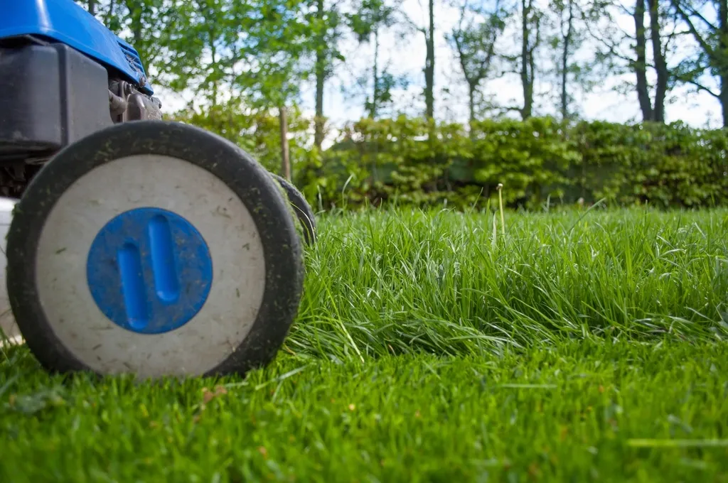Mower wheel beside grass left at the correct cutting length.